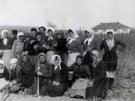 Сезонски работнички во 1-мај