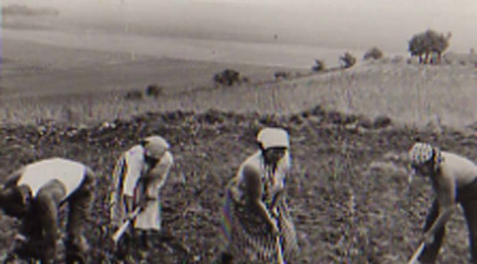 Бејтовци на копање