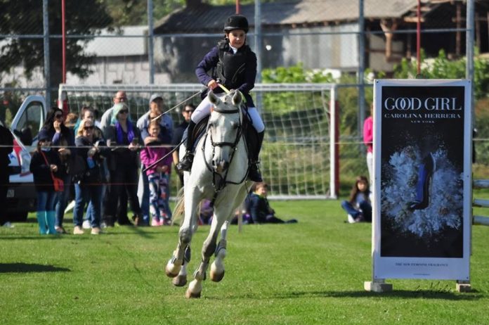 22490197_610658025725080_5098461184251582674_n