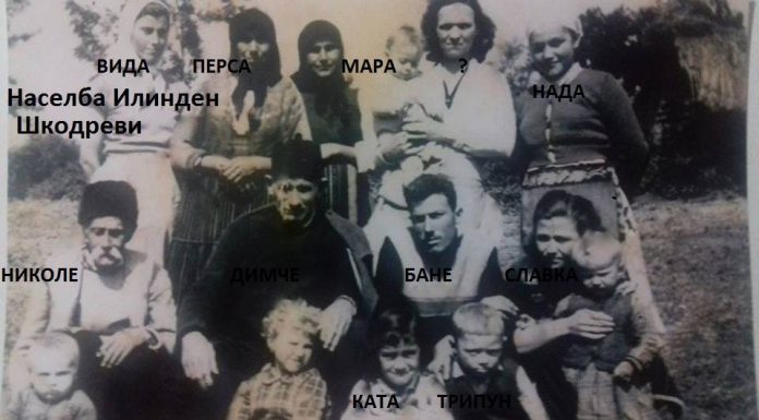 Дел од родот Шкодреви-1960