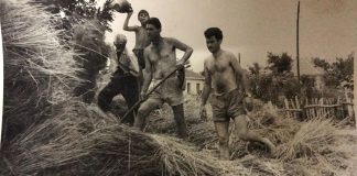 Припрема за вршидба-во 50-те