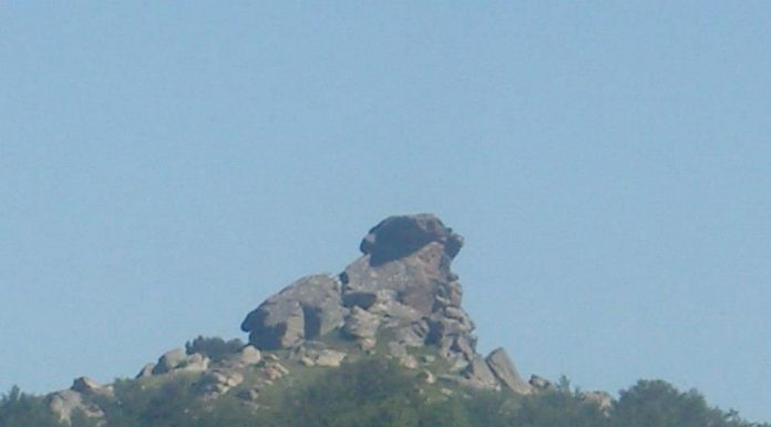 Триживотна Карпа