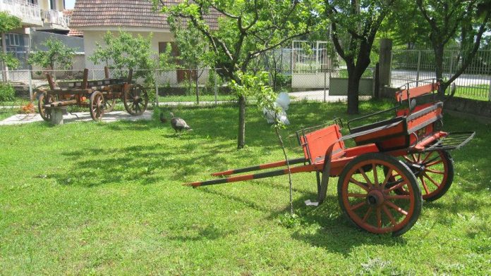 1480498_285900371534182_218756120667936442_n