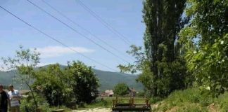 Река со два крака