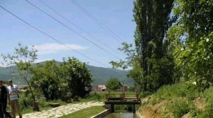 Река со два крака
