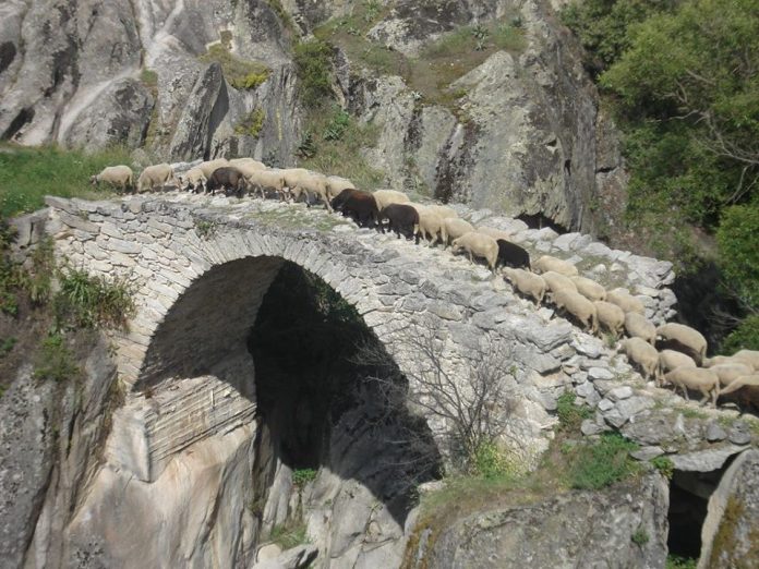 MOSTOT KAJ ZOVIC- Mariovo