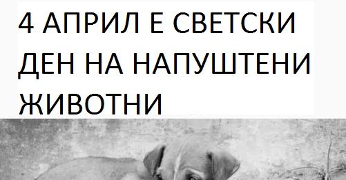 ДЕНЕС Е СВЕТСКИ ДЕН НА НАПУШТЕНИТЕ ЖИВОТНИ
