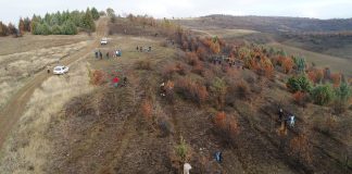 Успешнo заврши акцијата за пошумување „Зелена Општина Илинден“ !